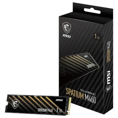 اس اس دی اینترنال ام‌اس‌ای مدل MSI SPATIUM M460 1TB