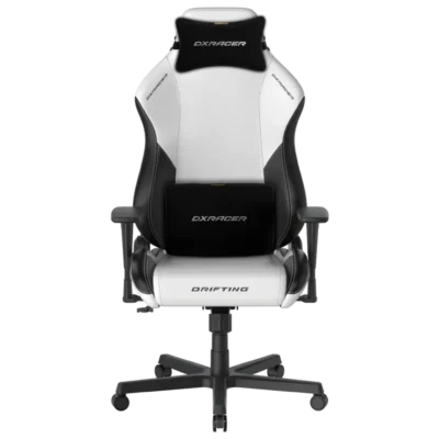 صندلی گیمینگ دی ایکس ریسر مدل DxRacer Drifting Series 2025 L Winter