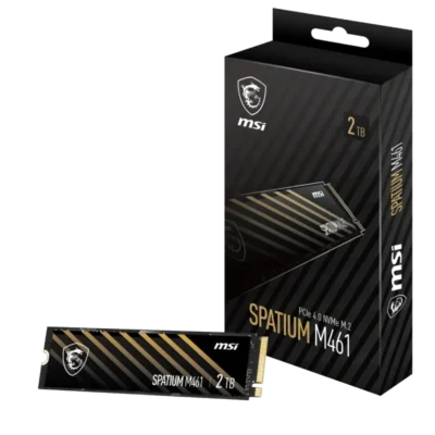 MSI SPATIUM M461 2TB