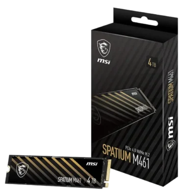 اس اس دی اینترنال ام‌اس‌ای مدل MSI SPATIUM M461 4TB
