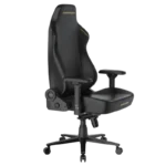 صندلی گیمینگ دی ایکس ریسر DxRacer Martian Series 2025 XL Black